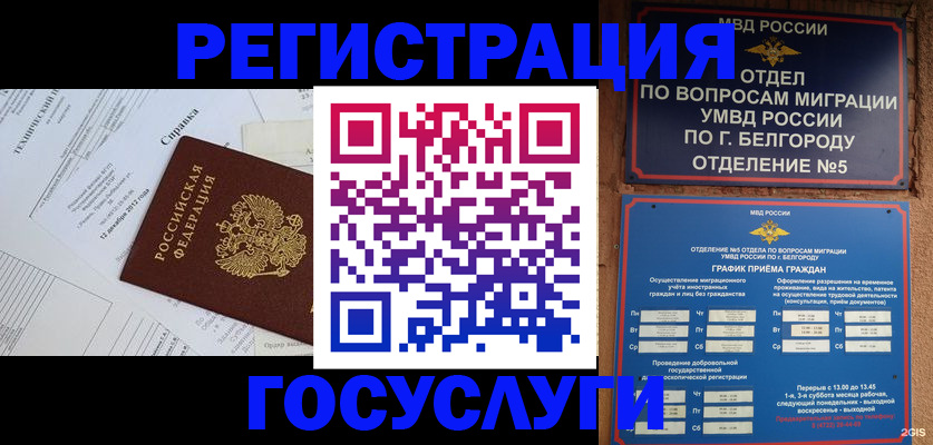 временная прописка в Дубне